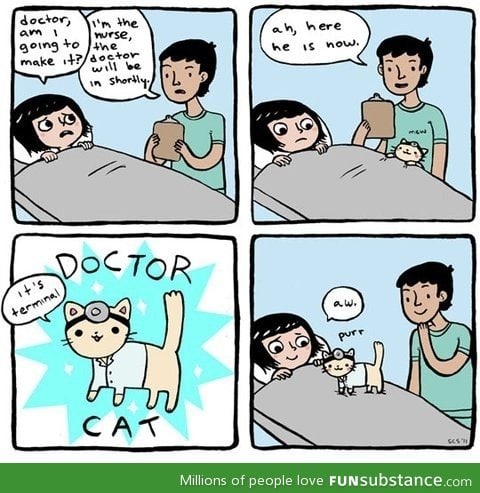 Doctor cat!