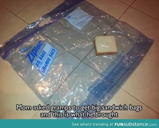 Get the big sandwich bags