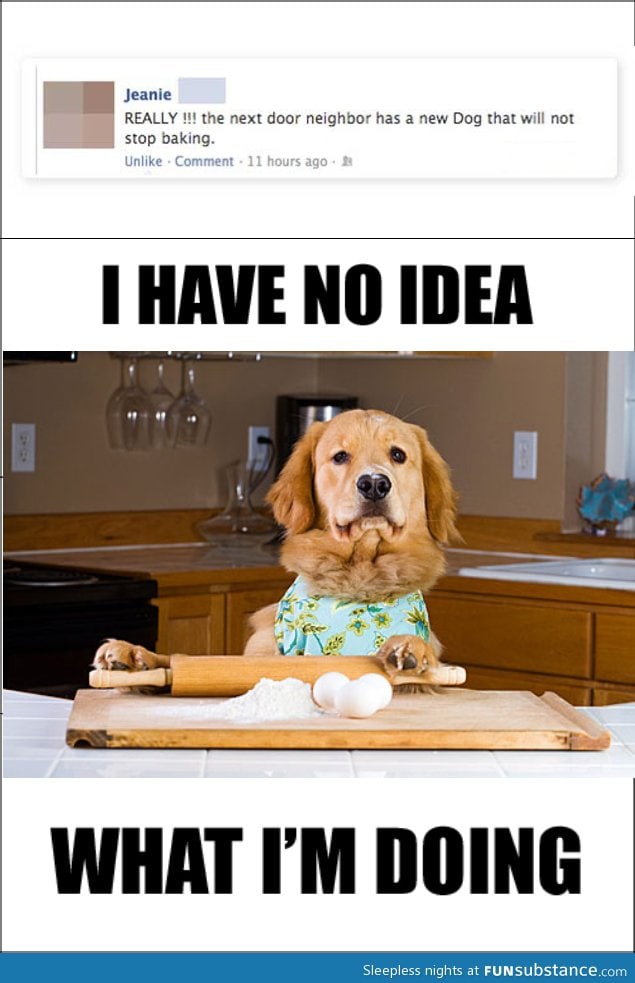 Baking dog