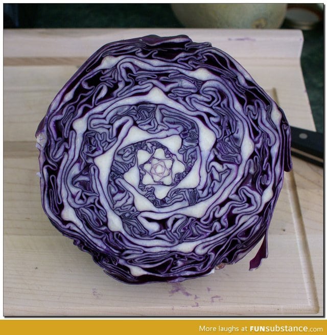 Amazing natural geometry in cabbage