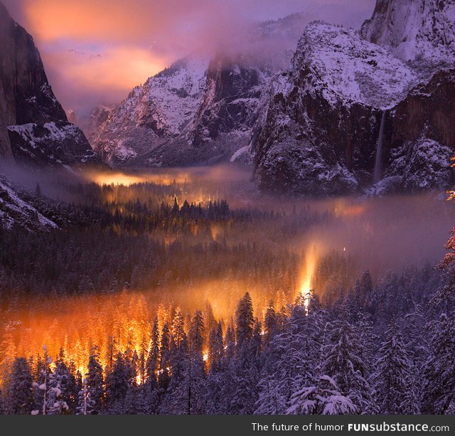 Yosemite valley mist illuminated by car headlights at nightfall