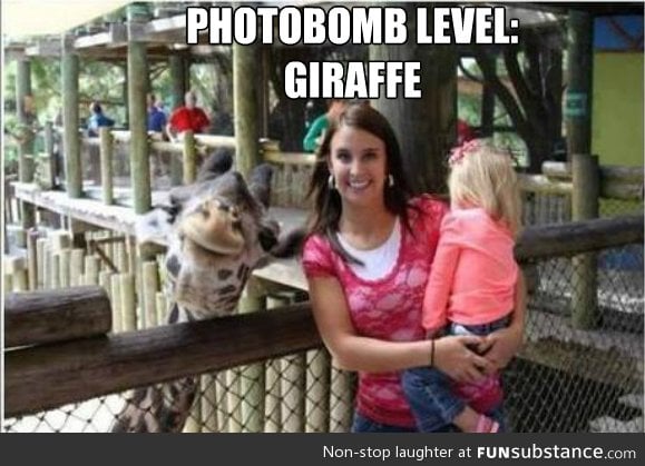 Photobomb level: Giraffe