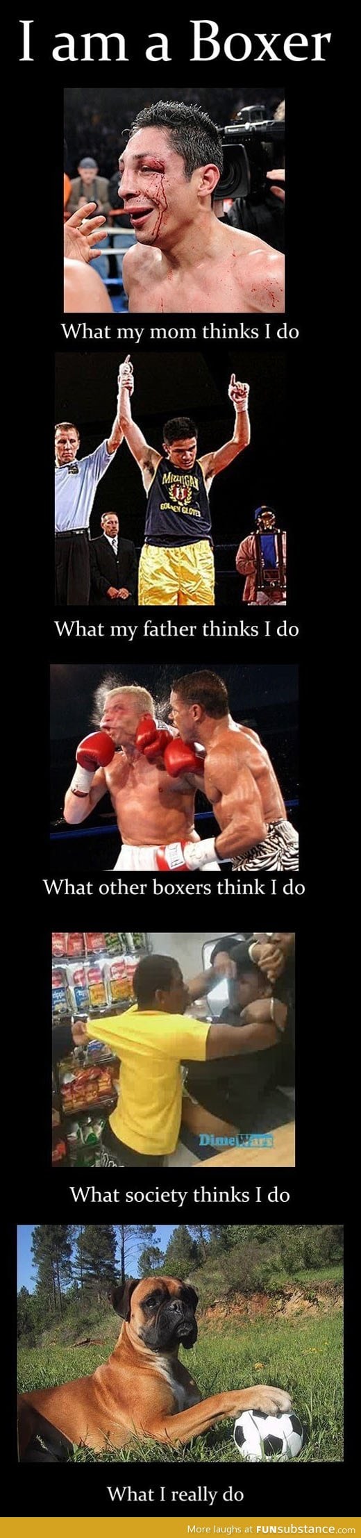I'm a boxer