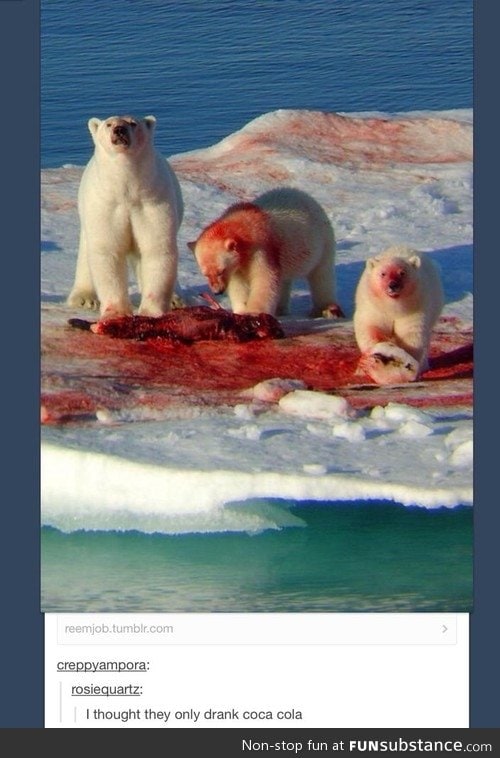 And you thought polar bears were cute