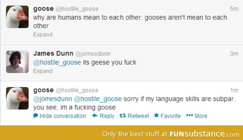 F*cking geese, man