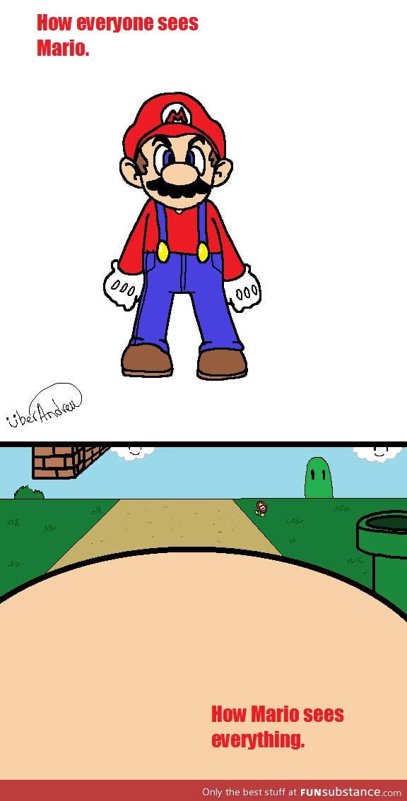 How everyone sees Mario