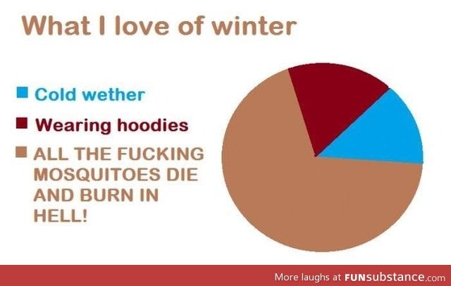 What i love about Winter