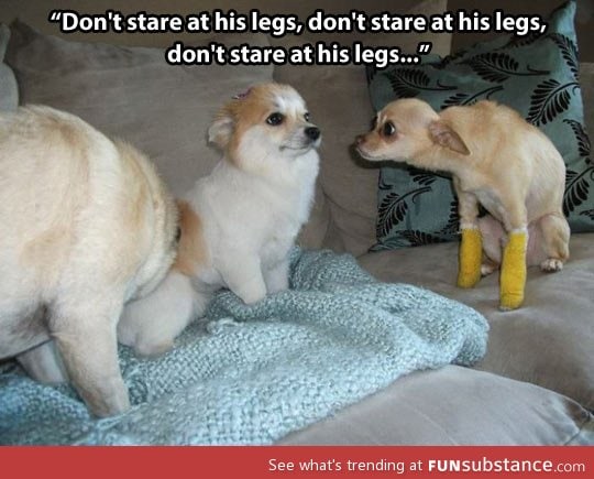 Don't stare at his legs