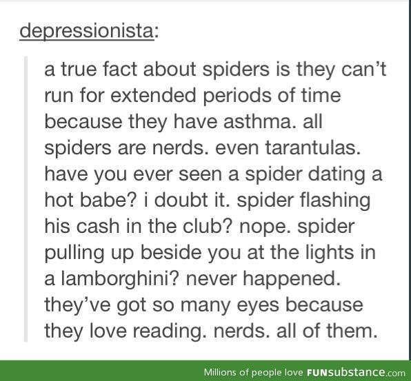 Spiders are nerds