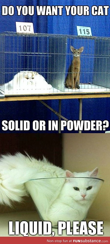 How do you want your cat?