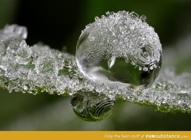 Frozen dew drops