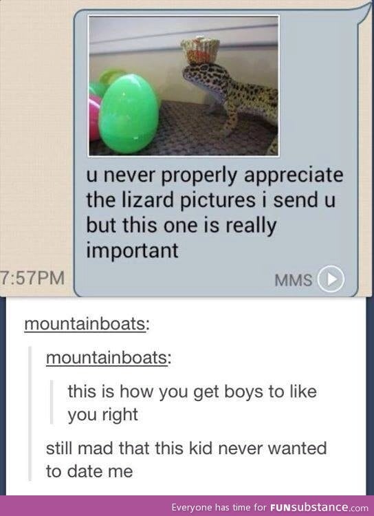 Lizard pics