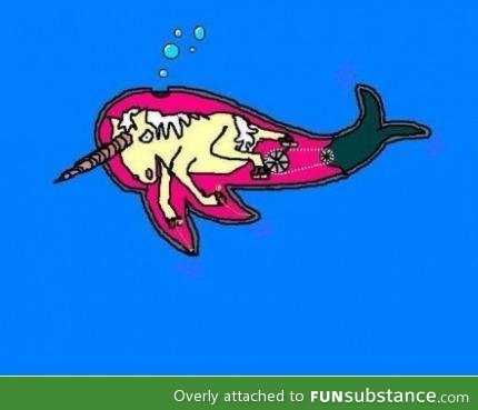 The truth behind narwhals
