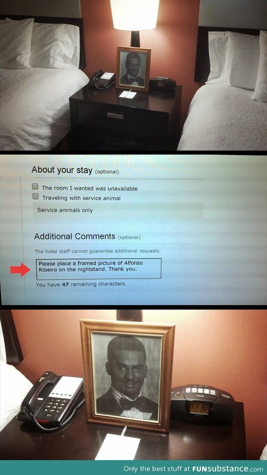 This is how you know your hotel is awesome