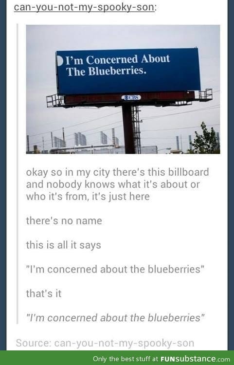 Blueberries