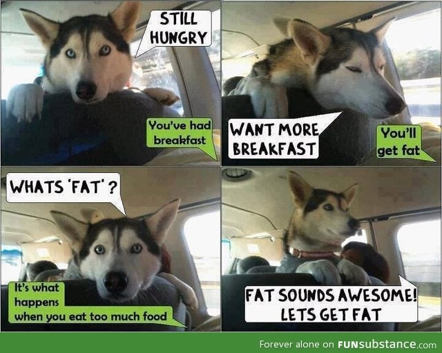 He's not fat he's husky