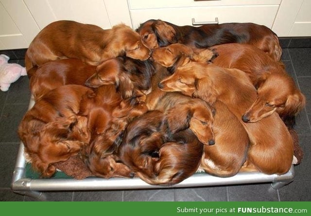 This is a giant pile of wieners