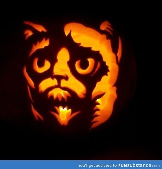 Awesome Grumpy Cat Pumpkin - FunSubstance