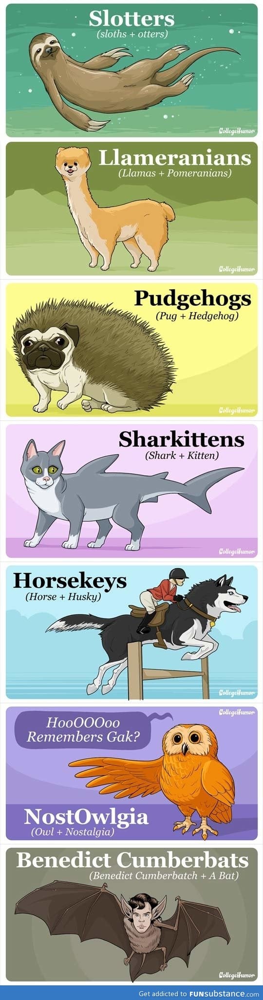 Animal hybrids that would break the internet