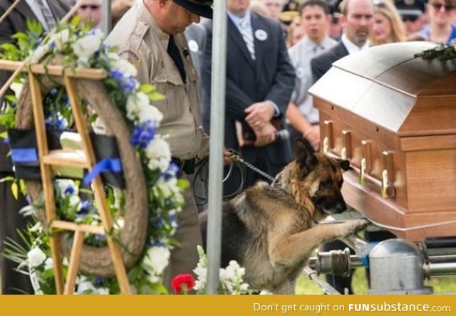 K9 officer saying goodbye to his partner