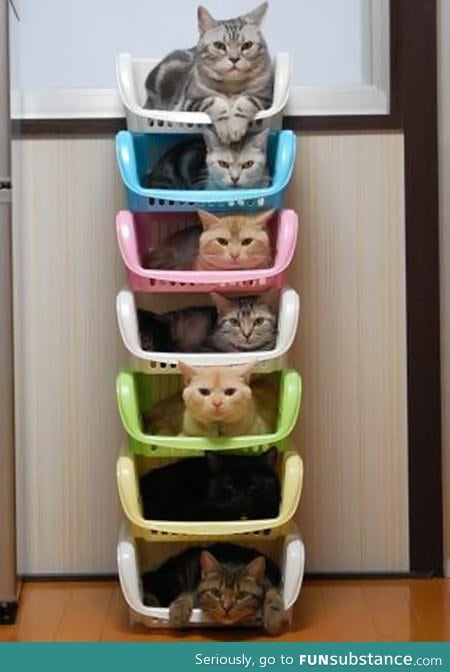 Efficient cat storage