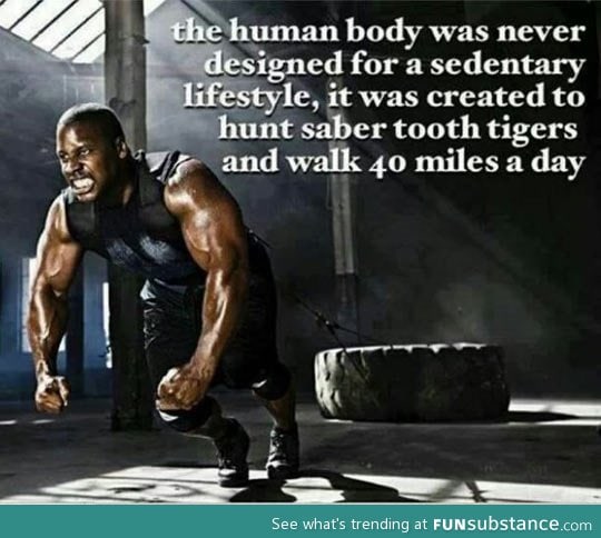 What our bodies were created for