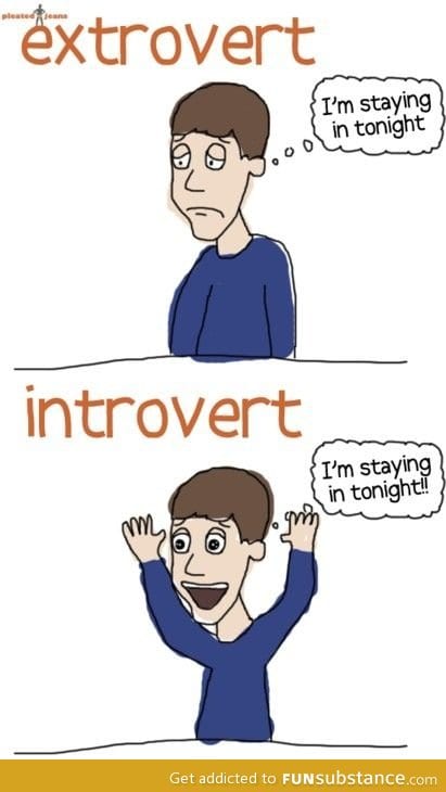 Introvert vs Extrovert