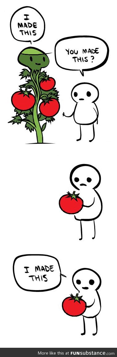 Now whenever I say I grew the vegetables in my garden I think of this