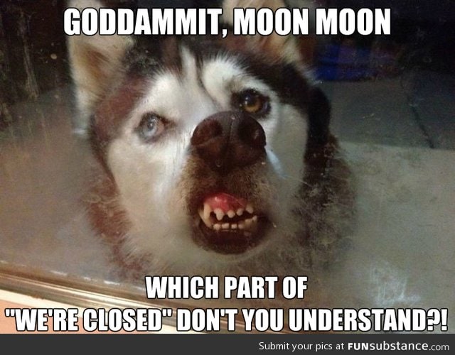 Goddammit, moon moon!