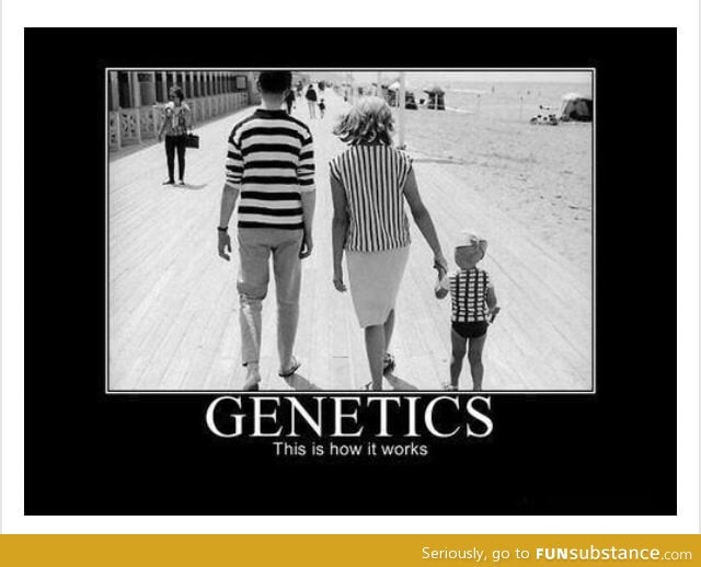 Genetics explained