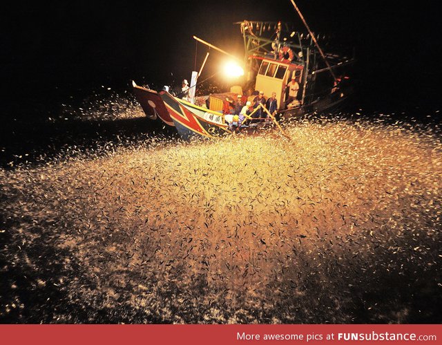 Chinese fishermen using fire to attract fish at night