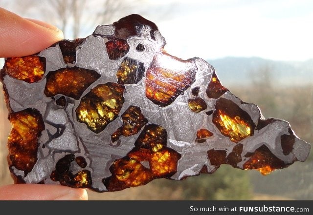 Slice of meteorite