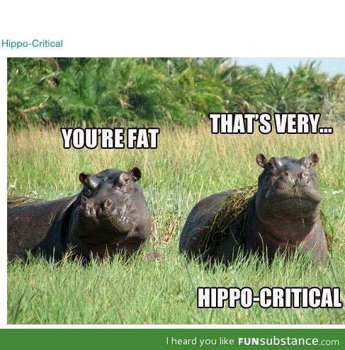 Hippo-critical