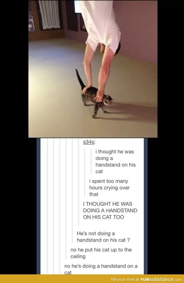 Cat handstand