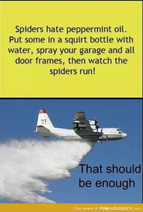 Fight spiders