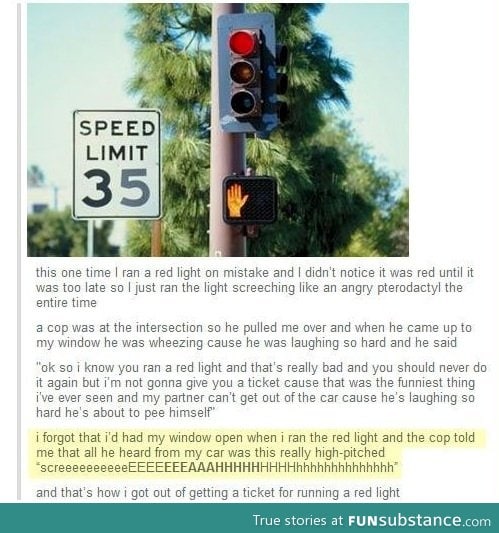This guy got out of getting a ticket for running a red light in a hilarious way