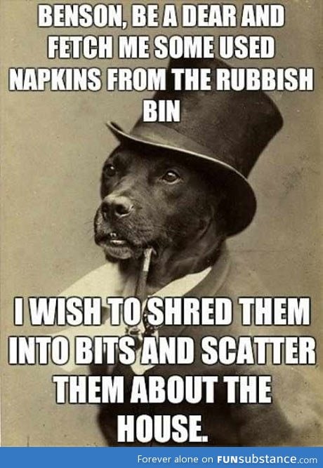 Gentleman dog has a request