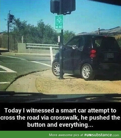 Smart car in its natural habitat