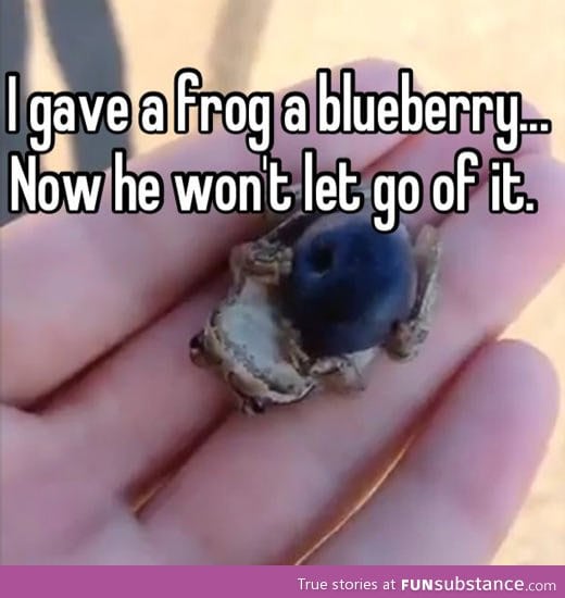 Frog love blueberry