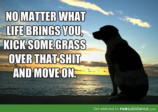 Lesson from a dog