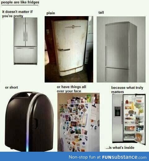 People are like a fridge
