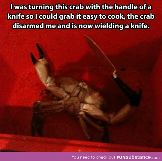 You messed with the wrong crab