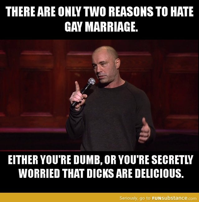 Joe Rogan on gay marriage