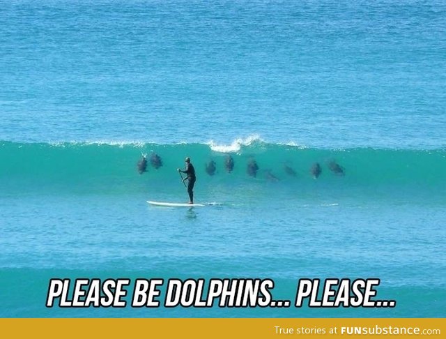 Let there be dolphins