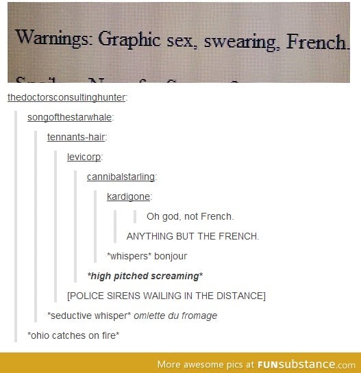 WARNING: French