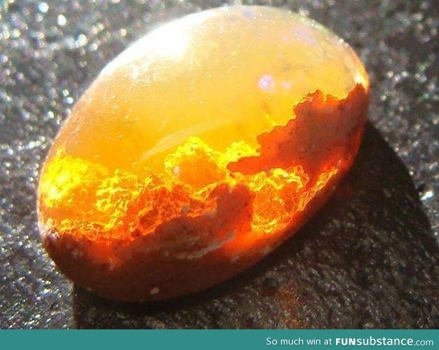 It's like someone put a sunset in this gem... Beautiful fire opal