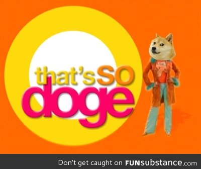 That's So Doge