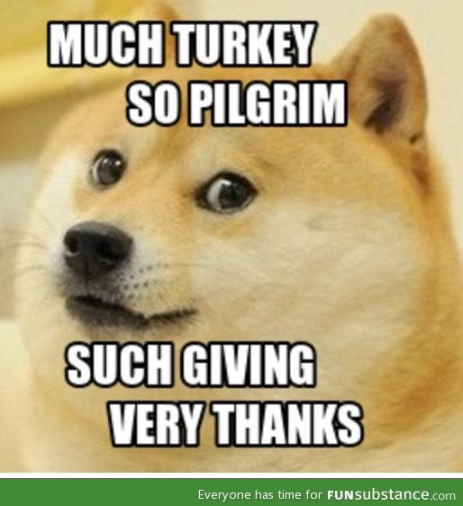 Have a doge thanksgiving