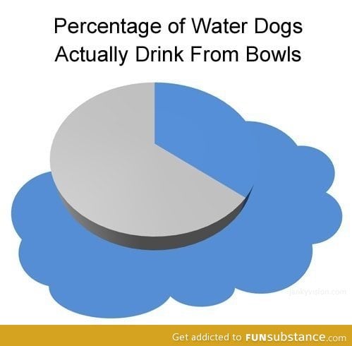 Dogs and water