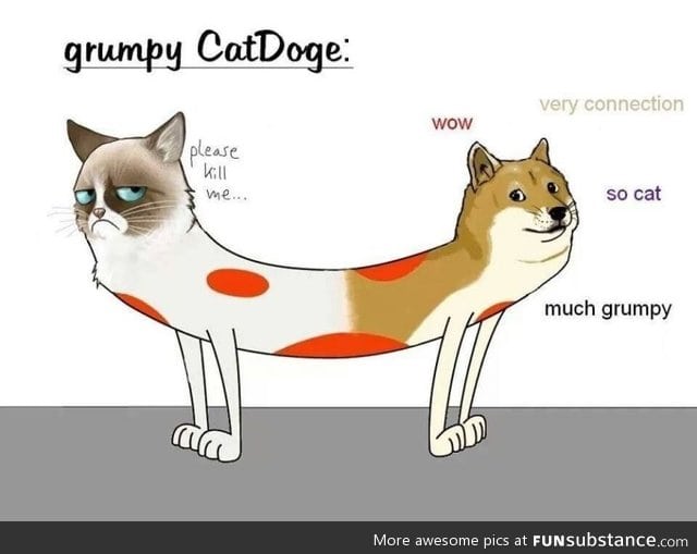 catdoge